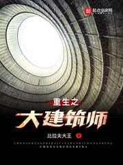 重生之大建筑师网盘下载