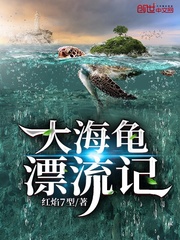 大海龟漂流记 小说